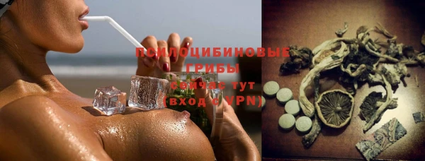 дживик Белоозёрский
