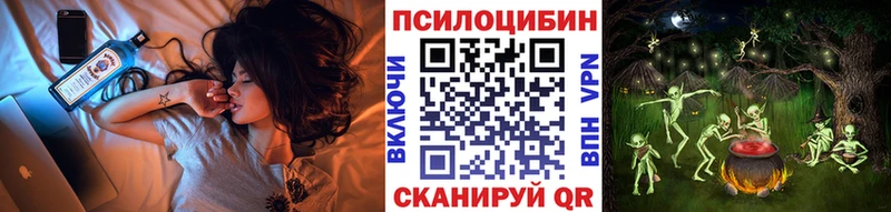 купить наркотик  Волосово  Псилоцибиновые грибы прущие грибы 